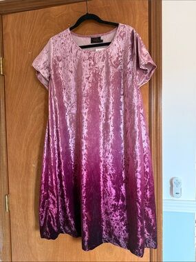 NWT Copper Union | Ombre Velvet Shirt Dress